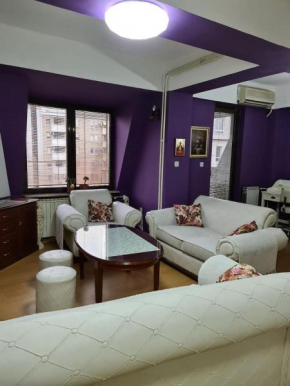 City Center Boutique Apartment